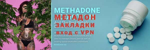 индика Алексин