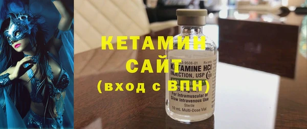 индика Алексин
