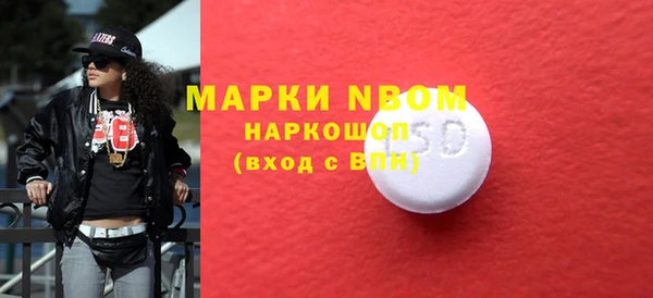 индика Алексин