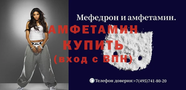 индика Алексин