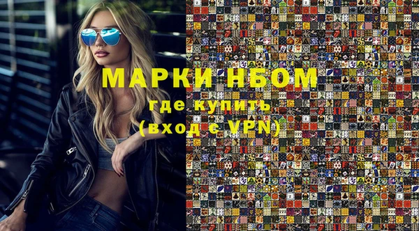 индика Алексин