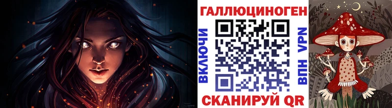 где купить   Сельцо  Галлюциногенные грибы мицелий 